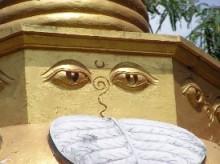 buddha eyes 220x164